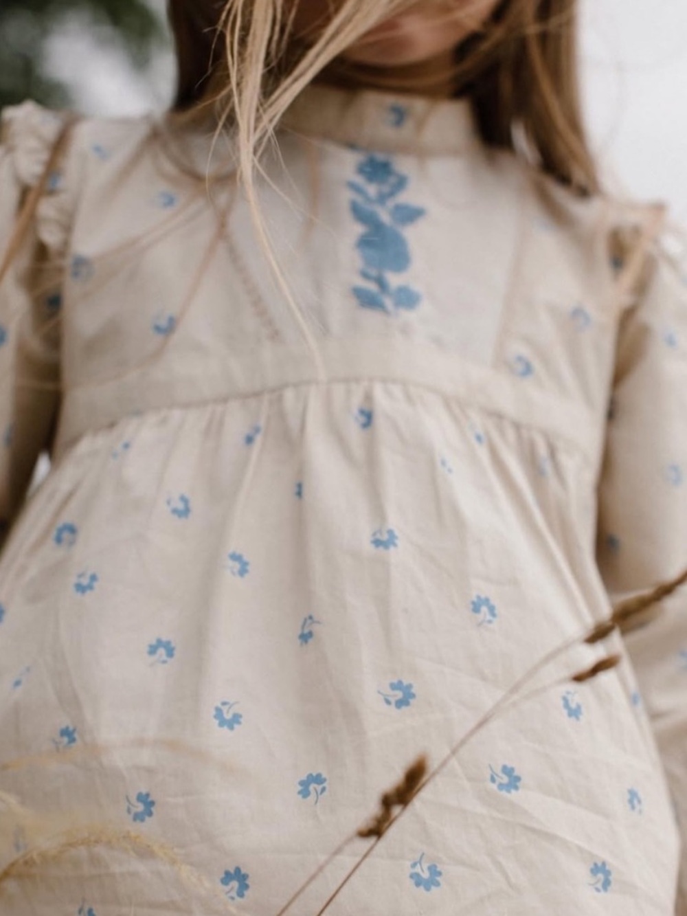 Apolina Cream Dress with Blue Floral Embroidery High Neck Long Sleeves
